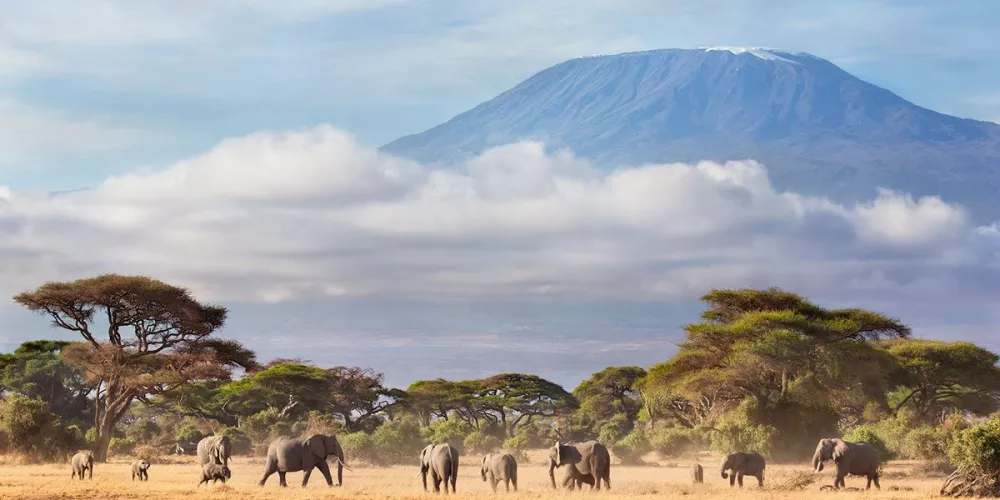 What to wear on Mount Kilimanjaro Safaris