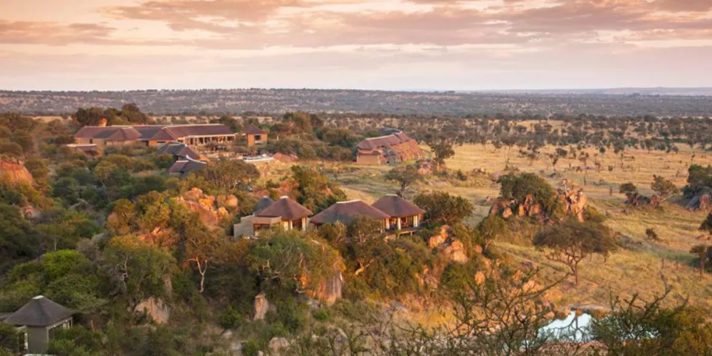 Can you visit The Serengeti on a shoestring budget?