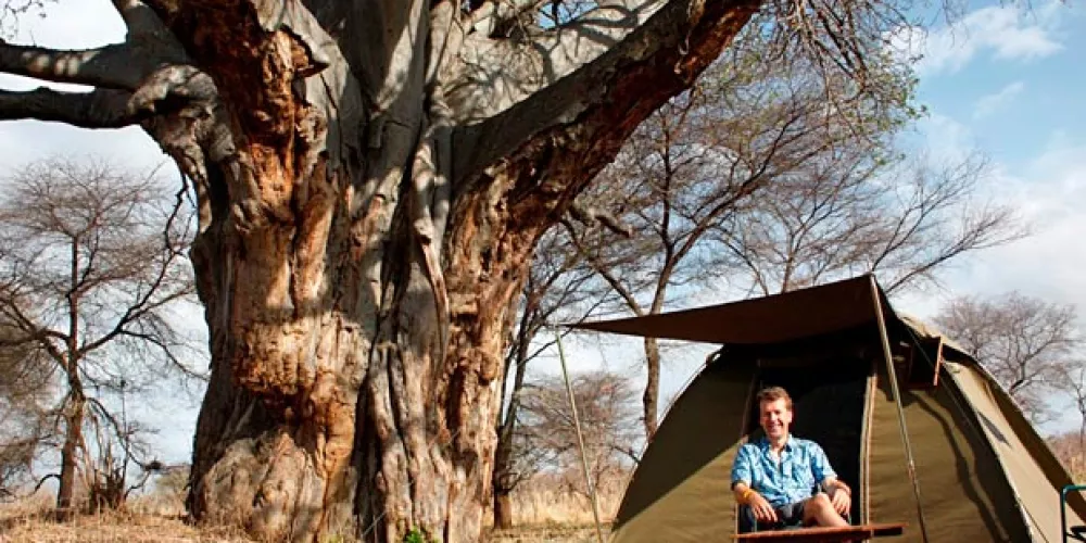 What Activities Take Place on Safari with Guides?