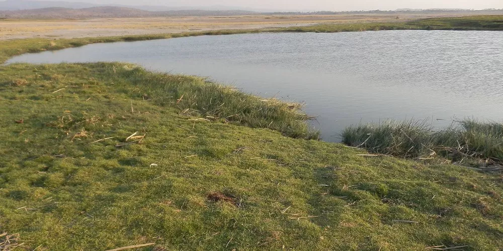 How and what is it in Lake Eyasi Tanzania