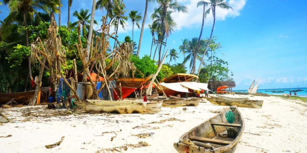 Safari from Zanzibar  Complete Guide to Tanzania Safari from Zanzibar