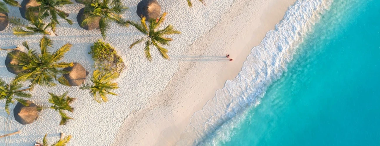 Safari from Zanzibar  Complete Guide to Tanzania Safari from Zanzibar