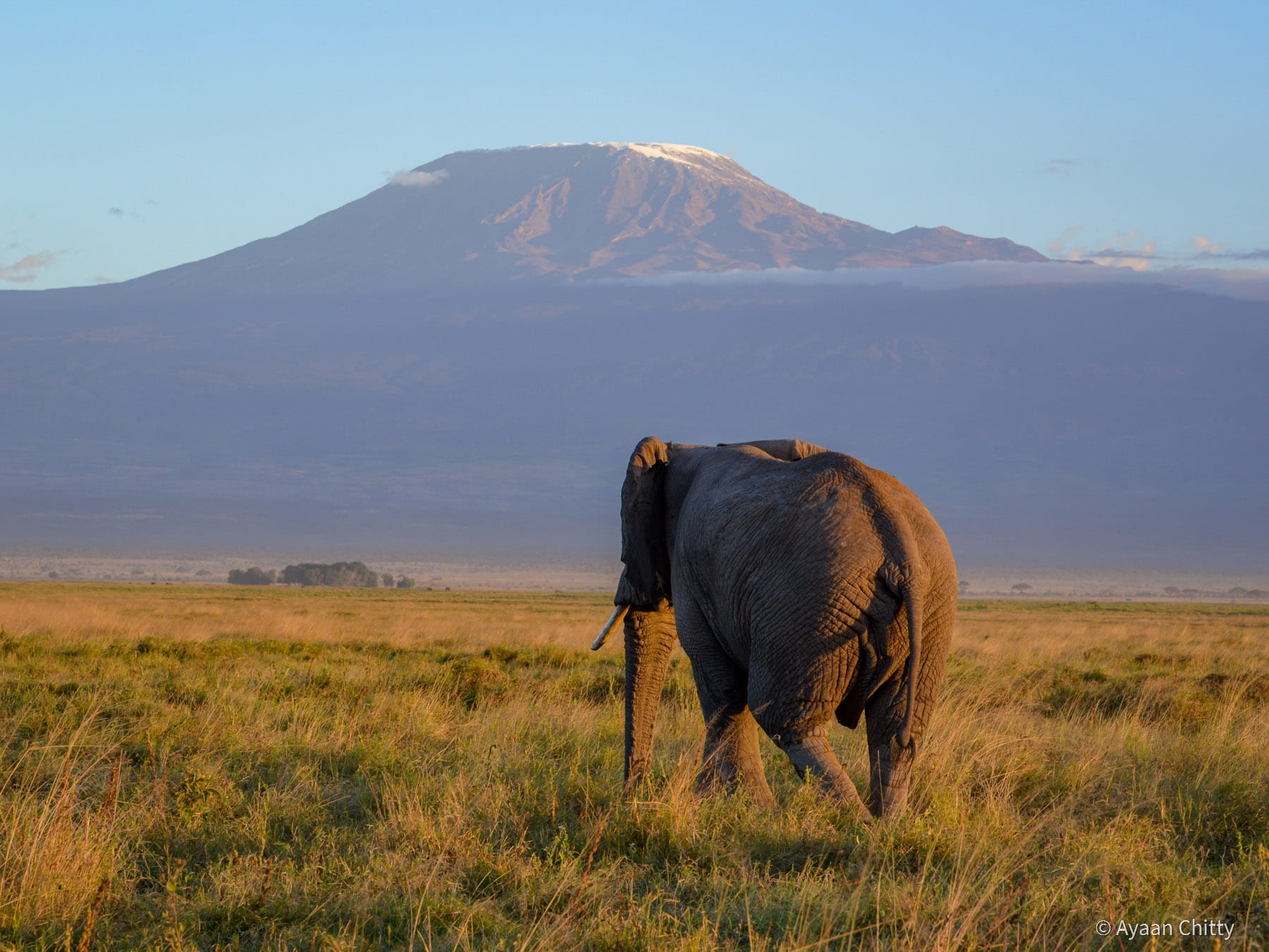 Amboseli