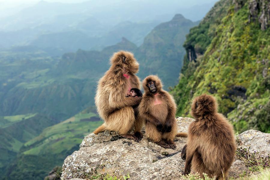 Ngorongoro Elephant Caverns