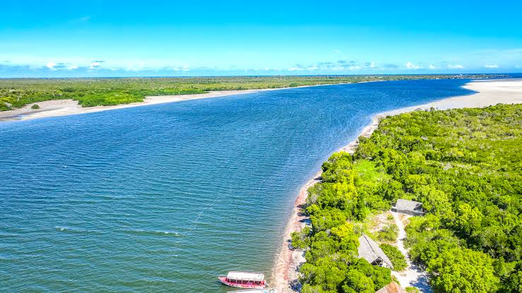 Vibrant coral reefs under the clear water of Watamu Marine Reserve
