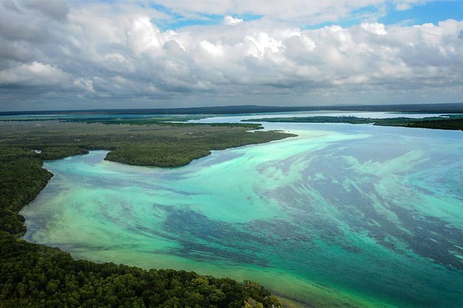 Serene mangrove channels and boardwalks of Mida Creek