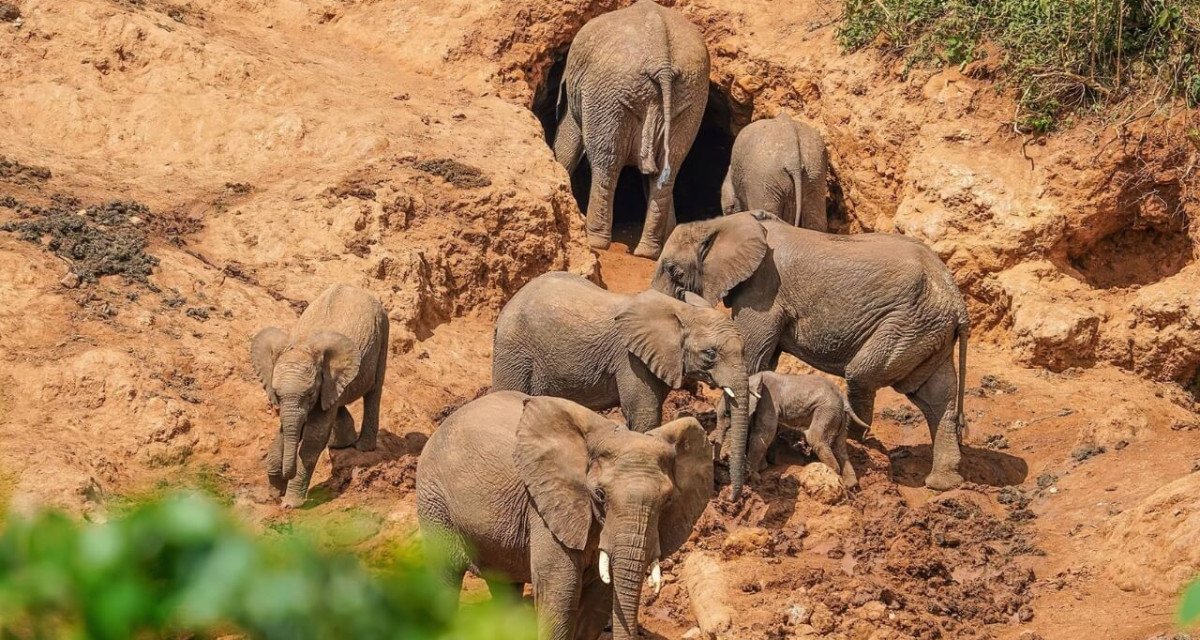 ELEPHANT CAVES 