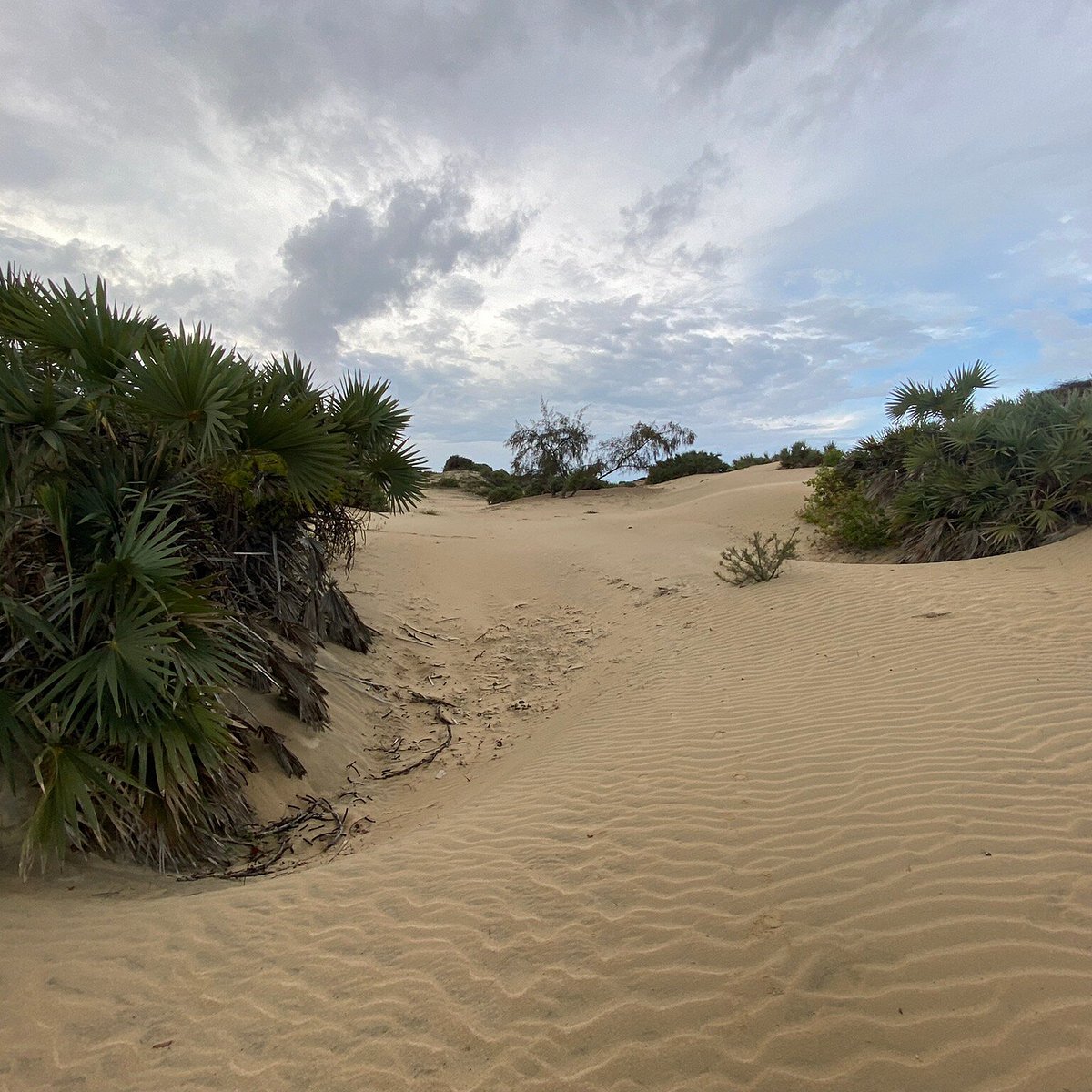 Towering white sand dunes lining the beach of Shela Village