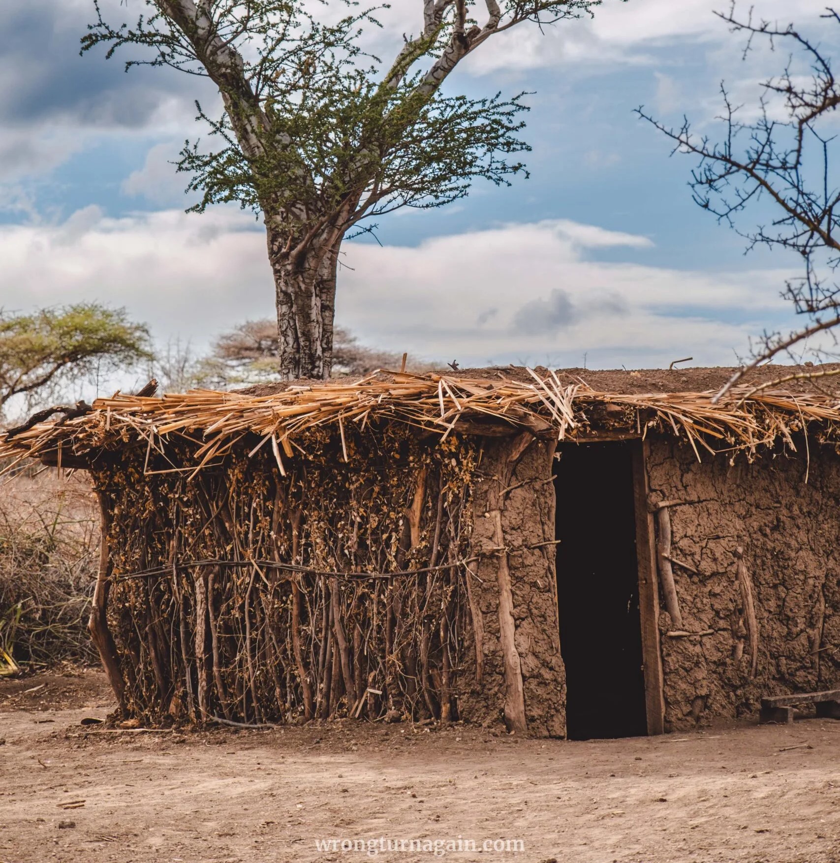 Traditional mud and dung houses inside a fenced Datooga boma