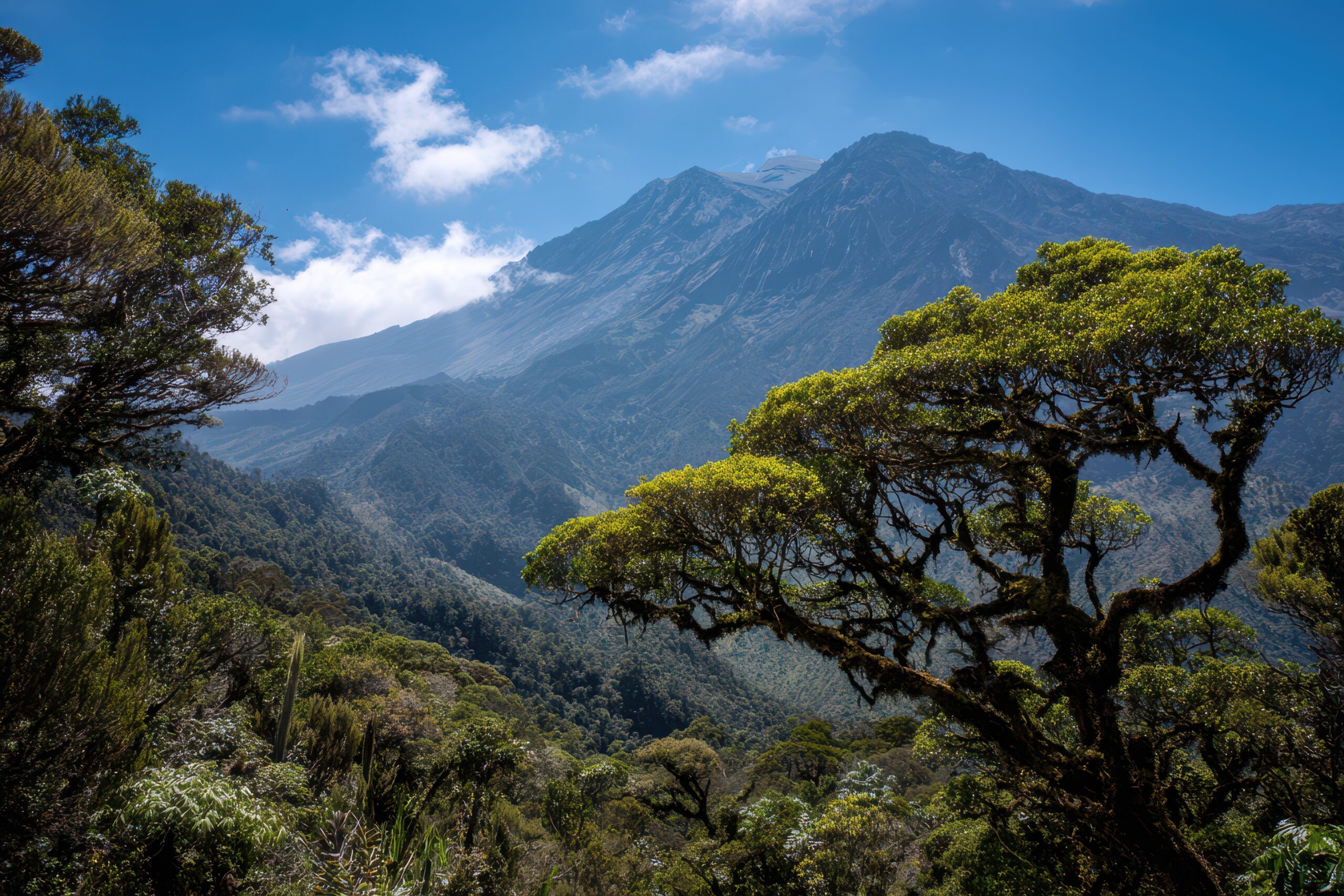 Mount Meru