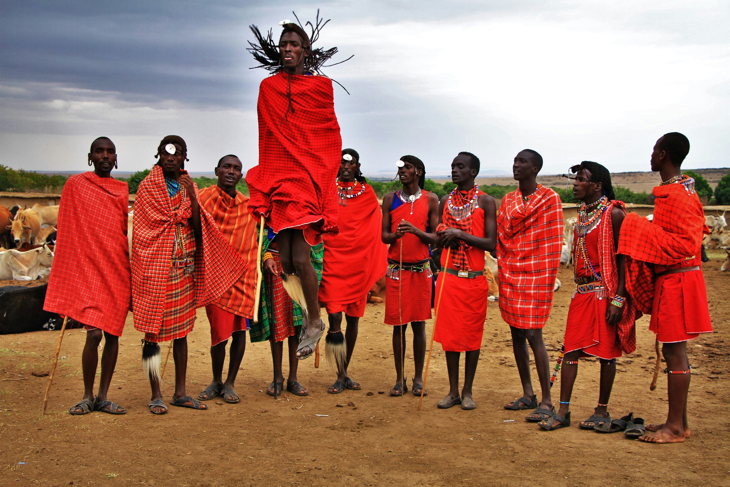 Maasai warriors jumping high into the air during the traditional Adumu dance