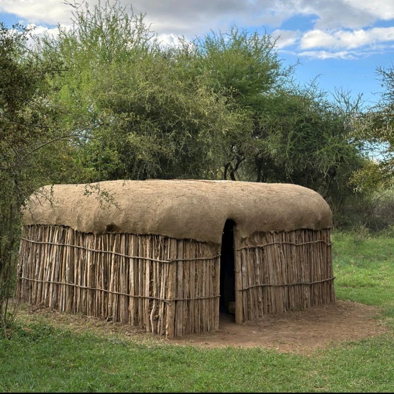 Circular mud and stick manyatta houses enclosed by a thorny acacia tree fence