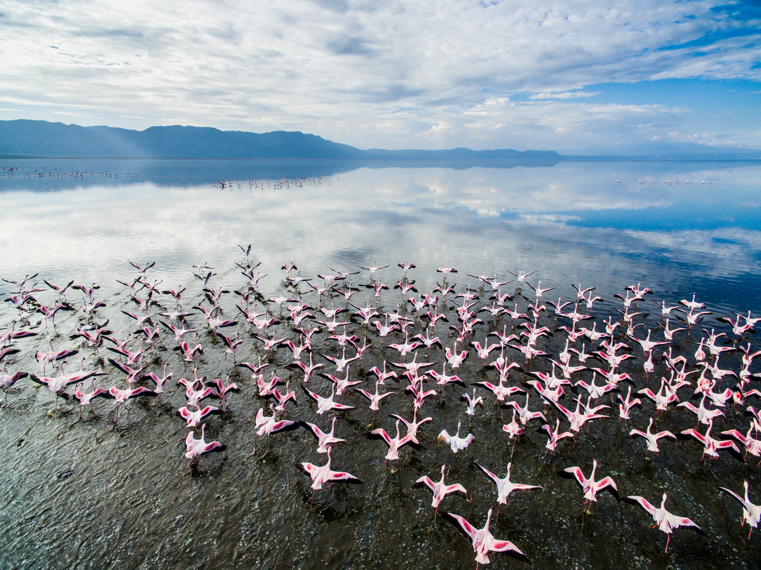 6-Day Tanzania Wildlife & Active Adventure Safari