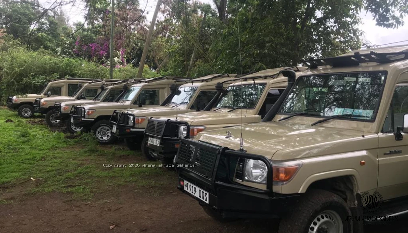Arusha National Park ,Materuni & Chemka Hot Springs