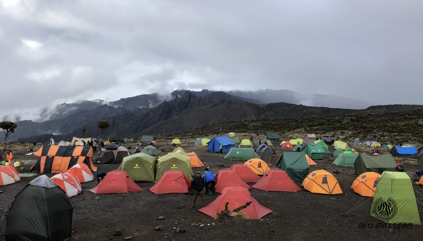 Marangu Route Climb Mount Kilimanjaro
